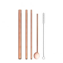 Wide Metal Straws Set with Spoon