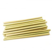 Natural Bamboo Straws Set