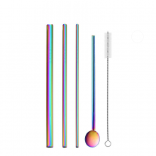 Wide Metal Straws Set with Spoon